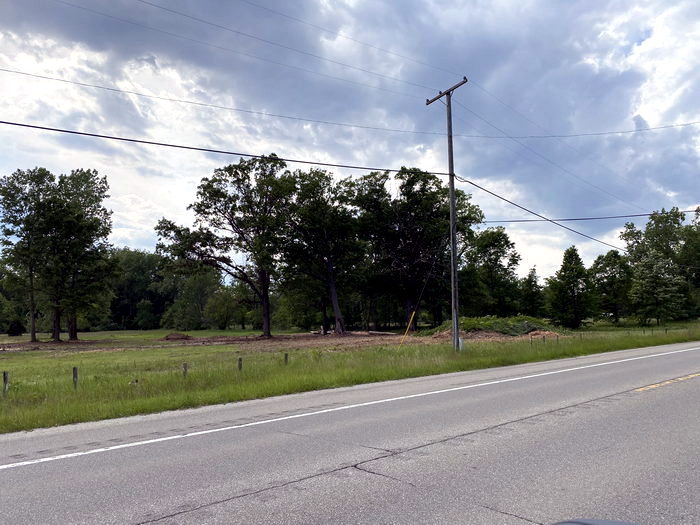 Lakeshore Drive-In Theatre - June 11 2022 Photo